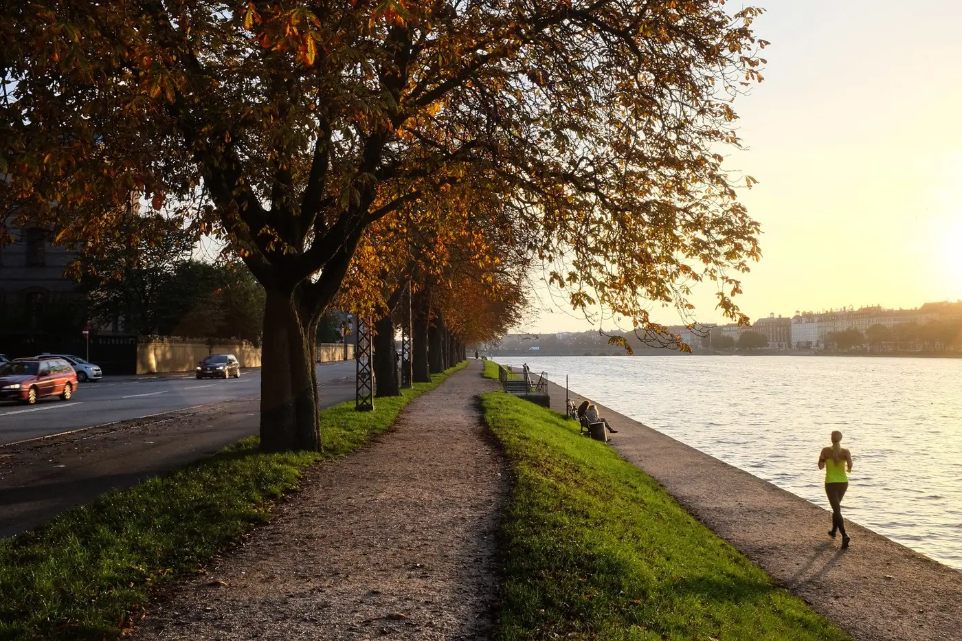 Autumn trees and low sun along the Lakes path